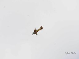 Fly-in 2024 - Zaterdag